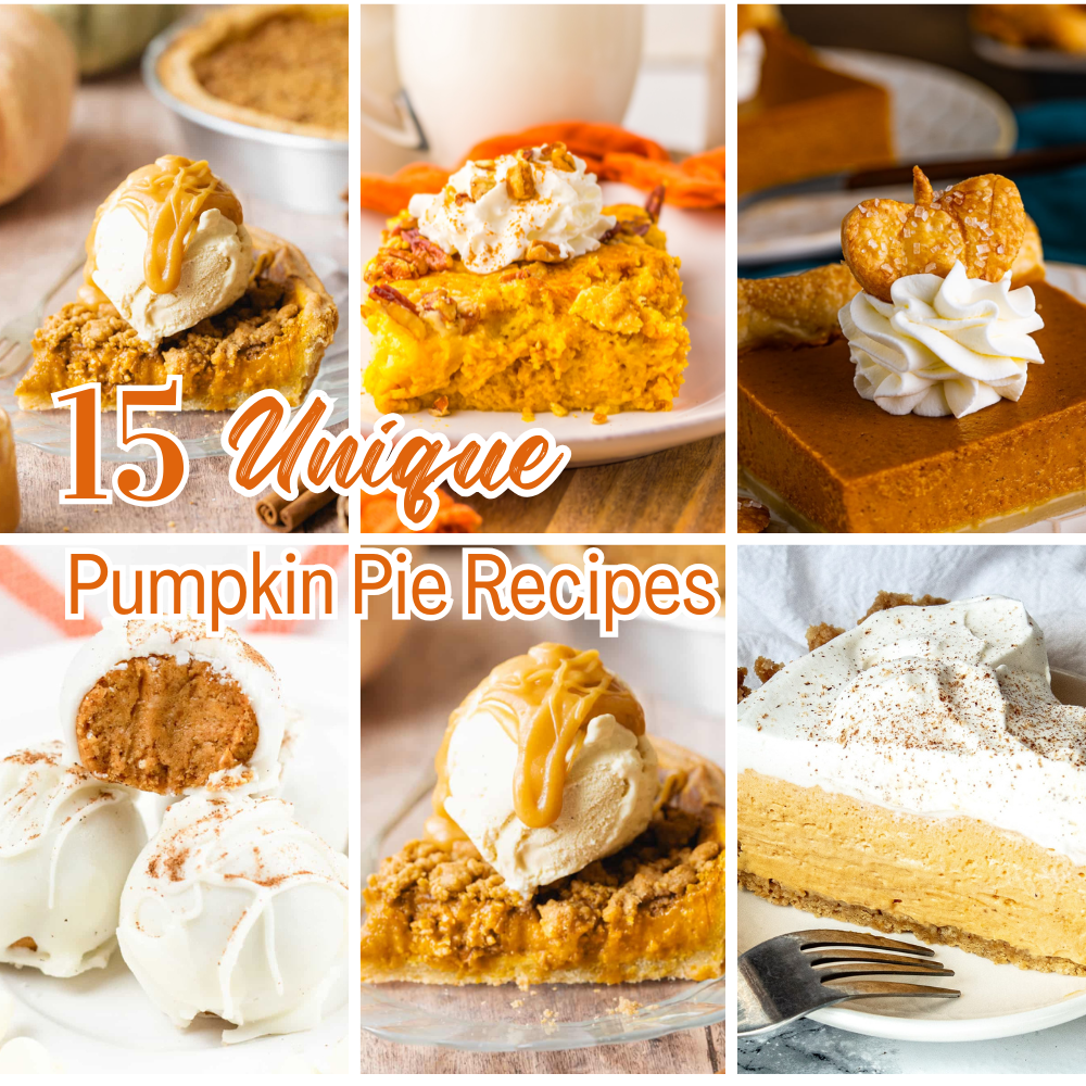 Unique Pithe Recipes 15 Unique Pumpkin Pie Recipes – Simply Delish Dishes